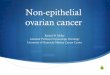 Non-epithelial ovarian cancer - University of Kentucky Non Epithelial...  Non-epithelial ovarian