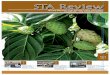 Oct 2015 4 6 8 - sta.org.mysta.org.my/images/staweb/Publications/STA_Review_/2015/October2015.pdf · organisations and individuals to support their charity sales and fund raising