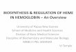 BIOSYNTHESIS & REGULATION OF HEME IN HEMOGLOBIN … Biosynthesis Regulation of Heme.pdf · IN HEMOGLOBIN –An Overview University of Papua New Guinea School of Medicine and Health