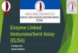 Enzyme Linked Immunosorbent Assay (ELISA) · What is ELISA? (Enzyme-linked immunosorbent assay) ELISA is an antibody-based method Indirect ELISA Sandwich ELISA ELISPOT Competitive