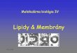 Lipidy & Membrány 2010.pdf · selektívny transport látok tvorba a prenos elektrických signálov v nervových a svalových bunkách receptorové funkcie (detekcia externých signálov