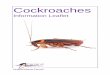 DRAFT FDC COCKROACH Information Leaflet - fenland.gov.uk · Information Leaflet . WHAT DO THEY LOOK LIKE? Cockroach species commonly found in the UK are: the Oriental Cockroach (Blatta