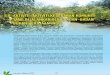 5.8 AKTIVITI-AKTIVITI KESEDARAN KOMUNITI YANG … · Penglibatan Badan-badan Bukan Kerajaan (NGO) dan pertubuhan tempatan dalam pelaksanaan aktiviti-aktiviti penanaman pokok bakau