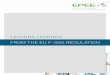 LESSONS LEARNED FROM THE EU F-GAS REGULATION · FROM THE EU F-GAS REGULATION EPEE The voice of the heating, cooling and refrigeration industry LESSONS LEARNED