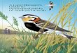 A Land Manager’s Guide to Grassland Birds of Saskatchewan · The Challenge Many species of grassland birds are less common now than they were in the 1960s when individuals first