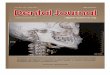 journal.unair.ac.idjournal.unair.ac.id/download-fullpapers-dentj466586303dfull.pdf · Early removal of odontoma resulting in spontaneous eruption of the impacted teeth achmad harijadi