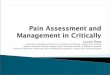 Pain Assessment and Management in Critically ill Adults · Frequent assessment and documentation of pain considered equally important for patients able and unable to communicate (94%
