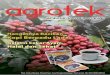 Edisi Juni 2018 Suplemen Majalah SAINS Indonesiabpatp.litbang.pertanian.go.id/balaipatp/assets/upload/download/... · sebagai penghasil specialty coffee, ... diminum dalam suasana