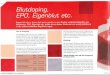 Blutdoping OSP Report 2 06 - Olympia Stützpunkt Bayern · Zurück in norma- len HÖhen vergehen einige Wochen, bevor der Anteil der roten Blutkörperchen im Blut wieder Normalni-