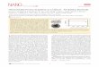Hierarchically Porous Graphene as a Lithium Air Battery ...cml/assets/pdf/pu_11_XXxiao.pdf · r XXXX American Chemical Society A dx.doi.org/10.1021/nl203332e |Nano Lett. XXXX, XXX,