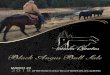 Tannas Ranches - bohrson.com · Page 4 Over the years the Tannas family has worked diligently to acquire the best Angus they can fi nd and build a program on production with longevity