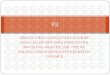 PIPELINE STRESS ANALYSIS PADA ONSHORE DESIGN …digilib.its.ac.id/public/ITS-Undergraduate-16069-4207100099-presentation.pdf · pipeline stress analysis pada onshore design jalur