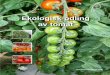 Ekologisk odling av tomat odling av tomat ingår också som en del i kurspärmen Ekologisk odling i växthus. Torbjörn Hansson har skrivit huvuddelen av texten, bl.a. om tomatodlingen