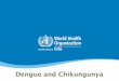 Dengue and Chikungunya - ammhu.com fileDengue and Chikungunya. What is Dengue? • Dengue (pronounced den' gee) is a viral disease. • Dengue can be caused by infection with any