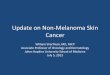 Update on Non-Melanoma Skin Cancerrvmais.com.br/meetingwithexperts/Aulas/05-07/1_12h00m Update on Non...Update on Non-Melanoma Skin Cancer William Sharfman, MD, FACP Associate Professor