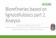 Biorefineries based on lignocellulosics part 2. Analysisrtbioenergia.org.mx/wp-content/uploads/2017/12/2b_CBR_CarlosCardona... · Biorefineries based on lignocellulosics part 2. Analysis