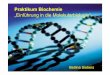 Praktikum Biochemie „Einführung in die Molekularbiologie“ · Praktikum Biochemie „Einführung in die Molekularbiologie“ ... Alkohol (Gycerol) Säure (Butyrat) H2O Esterase(EC