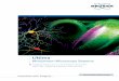B2001 RevA0 Ultima Brochure 2014 - High-performance … · 2015-01-20 · From the introduction of the first commercial system to allow simultaneous imaging and uncaging in 2003,
