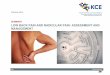 Low Back Pain and radicular pain: assessment and ... · 2017 kce report 287cs good clinical practice summary low back pain and radicular pain: assessment and management peter van