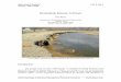 Streambank Retreat: A Primer - Ashley Kinsey · Streambank Retreat: A Primer Tess Wynn Department of Biological Systems Engineering Virginia Tech Blacksburg, VA 24061-0303 ... (USEPA),