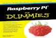 Raspberry Pi für Dummies – Schummelseite · Raspberry Pi für Dummies – Schummelseite Neben apt–get und cache gibtesmitaptitude nocheinTool,dasdietraditionellenWerkzeugeauf