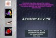 PAOLO DELLA BELLA CATERINA BISCEGLIA - Venice … · PAOLO DELLA BELLA CATERINA BISCEGLIA San Raffaele Hospital Milan, Italy ... - LP: 15/19 pts (78.9%) Increased sensitivity 