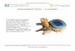 Herniated Disc - Lumbar - Pinehurst .Introduction A lumbar disc herniation, or lumbar radiculopathy,