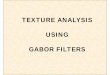 TEXTURE ANALYSIS USING GABOR FILTERSGABOR FILTERSvplab/courses/CV_DIP/PDF/Lect-Gabor_filt.pdf · Texture Types • Definition of Texture Texture Types Definition of Texture • Texture