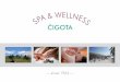 S P A & W ELLNE S ČIGOTA · aromatherapy, mineral salts, thermal mud, cryo therapies, preparations based on precious metals (silver and gold), cocoa, argan oils, coconut and linseed