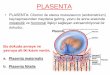PLASENTA - docs.neu.edu. . plasenta_8.pdf  PLASENTA â€¢ PLASENTA: Chorion ile uterus mukozas±n±n