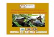 Photos provided by Raffaella Commitante and … University, Kuala Lampur, Malaysia Frankfurt Zoological Society/Jambi SOCP Orangutan Release Site, Sumatra, Indonesia Veterinary Society