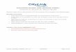 ELECTRONIC INVOICE RAW MESSAGE FORMAT - CityLink · CityLink_RawData_Definition_DTL-2.5 15/04/2016 Page 1 of 28 ELECTRONIC INVOICE ‘RAW’ MESSAGE FORMAT ... (Default = N) 14 CURRENCY