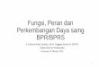 Fungsi, Peran dan Perkembangan Daya saing BPR/BPRSperbarindo.or.id/wp-content/uploads/2016/11/3-Materi-Ir.-Andeas-DPR-RI.pdf · manajemen risiko, penguatan tata kelola dan lainnya