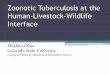 A Review of Zoonotic Tuberculosis at the Human-Livestock ... · bovis as an etiologic agent in extrapulmonary tuberculosis in HIV-positive and -negative Mexican patients. European
