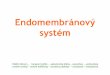 6 2008 04 cast 1 - Endomembranovy systemkfrserver.natur.cuni.cz/studium/prednasky/bunka/2008/6_2008 04 cast 1... · Endomembránový systém třídění bílkovin – transport váčků