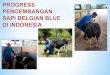 Pengembangan sapi Belgian Blue di Indonesiabetcipelang.ditjenpkh.pertanian.go.id/site/upload/... · Pengembangan sapi Belgian Blue di Indonesia Pembentukan bangsa baru sapi Belgian