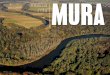 MURA - Zavod RS za varstvo narave · nemotenega gibanja podtalne vode, ki hrani in oživlja ta dragoceni ekosistem. Vajeni smo, da potencial gozda merimo v kubikih, v zadnjem času