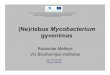 (Ne)riebus Mycobacterium - bchi · (Ne)riebus Mycobacterium gyvenimas 2007–2013 m. Žmogiškųjų išteklių pl÷tros veiksmų programos 3 prioriteto „Tyr÷jų geb÷jimų stiprinimas“