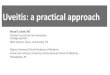 Uveitis: a practical approach - pennsylvania.aoa.org · dot syndrome (MEWDS), autoimmune hepatitis