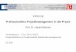 Prof. Dr. Harald Wehnes - WueCampus2 · (Business Case) Zusammensetzung Projektteam Grober Zeitplan (Meilensteine, Phasen) Professionelles Projektmanagement in der Praxis 5 5 5 Leistungsziel-Beschreibungen: