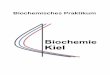 Biochemisches Praktikum - uni-kiel.de · Veranstaltungsordnung Praktikum Biochemie 312 Veranstaltungsordnung Seminar Biochemie 314. Biochemisches Praktikum I 1 BIOCHEMISCHES PRAKTIKUM