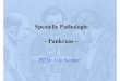 Spezielle Pathologie - PowerPoint+-+Spezielle+Pathologie+des...  Chronische Pankreatitis Epidemiologie: