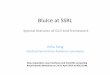 BluIce at SSRL - Brookhaven National Laboratory at... · BluIce at SSRL Special features of GUI and framework Jinhu Song Stanford Synchrotron Radiation Laboratory Data Acquisition,