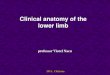 Clinical anatomy of the lower limb - tisular.usmf.md · Landmarks of the lower limb 1.Regio glutealis • Crista iliaca • Iliac Spina • Trohanterul mare • Plica glutealis •