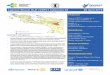 Laporan Situasi KLB cVDPC1 Indonesia #2 26 April 2019 · Laporan Situasi KLB cVDPC1 Indonesia #2 26 April 2019 cVDPV1 cases in Papua Province, Indonesia, 2018 - 2019 Highlight Mingguan