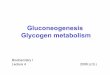 Gluconeogenesis Glycogen metabolism · Gluconeogenesis Glycogen metabolism ... glycogen content of meat products is usually negligible due to post-mortem glycogenolysis. 20 Glycogen
