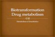 Metabolism of Xenobiotics - Semmelweis Universitysemmelweis.hu/biokemia/files/2014/10/EN_lec_gbio3... · accumulated free bilirubin in skin, mucous membranes, sclera, it is jaundice