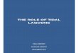 THE ROLE OF TIDAL LAGOONS · the role of tidal lagoons final report charles hendry december 2016
