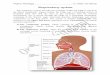 Respiratory system - Al-Mustansiriya University 05_14_11_PM.pdf  Respiratory system The respiratory