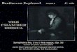 BEETHOVEN Explored volume 6 - d2ajug1vehh95s.cloudfront.net · This was not the first of Beethoven’s orchestral works to appear in a version for piano with strings. ... 2nd Symphony,